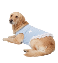 Lace Pet Dress