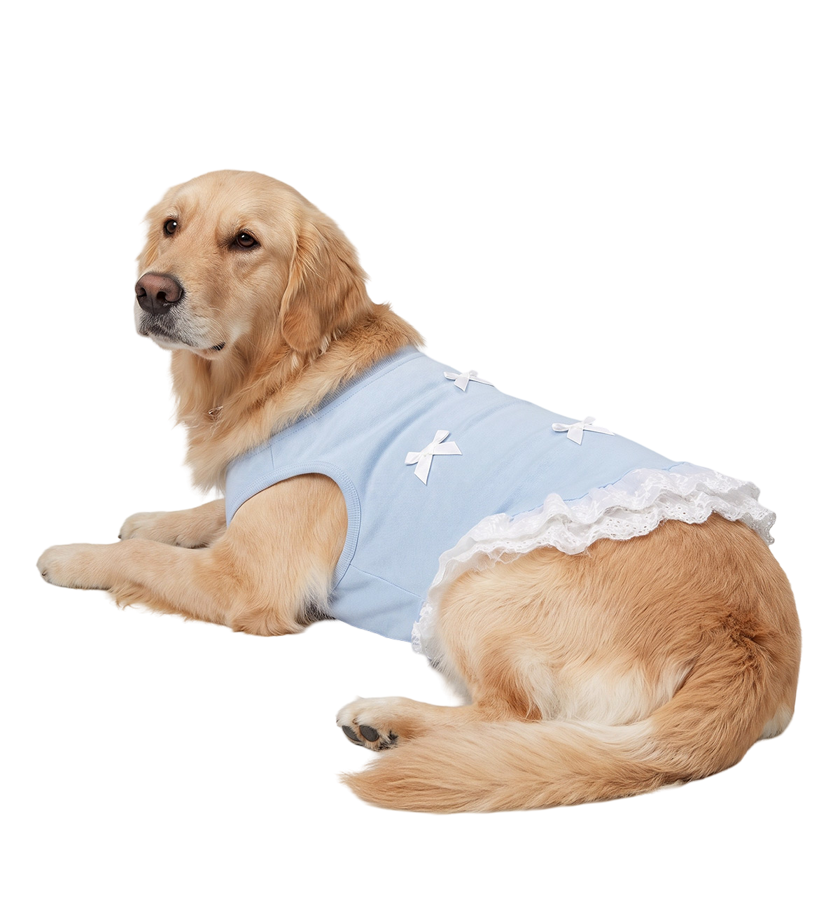 Lace Pet Dress