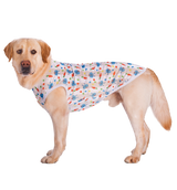 Summer Pet Vest