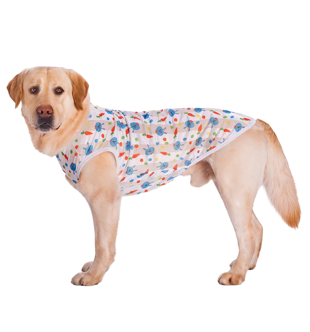 Summer Pet Vest