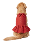 Bow Pet Dress