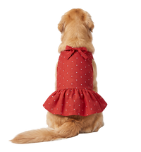 Bow Pet Dress