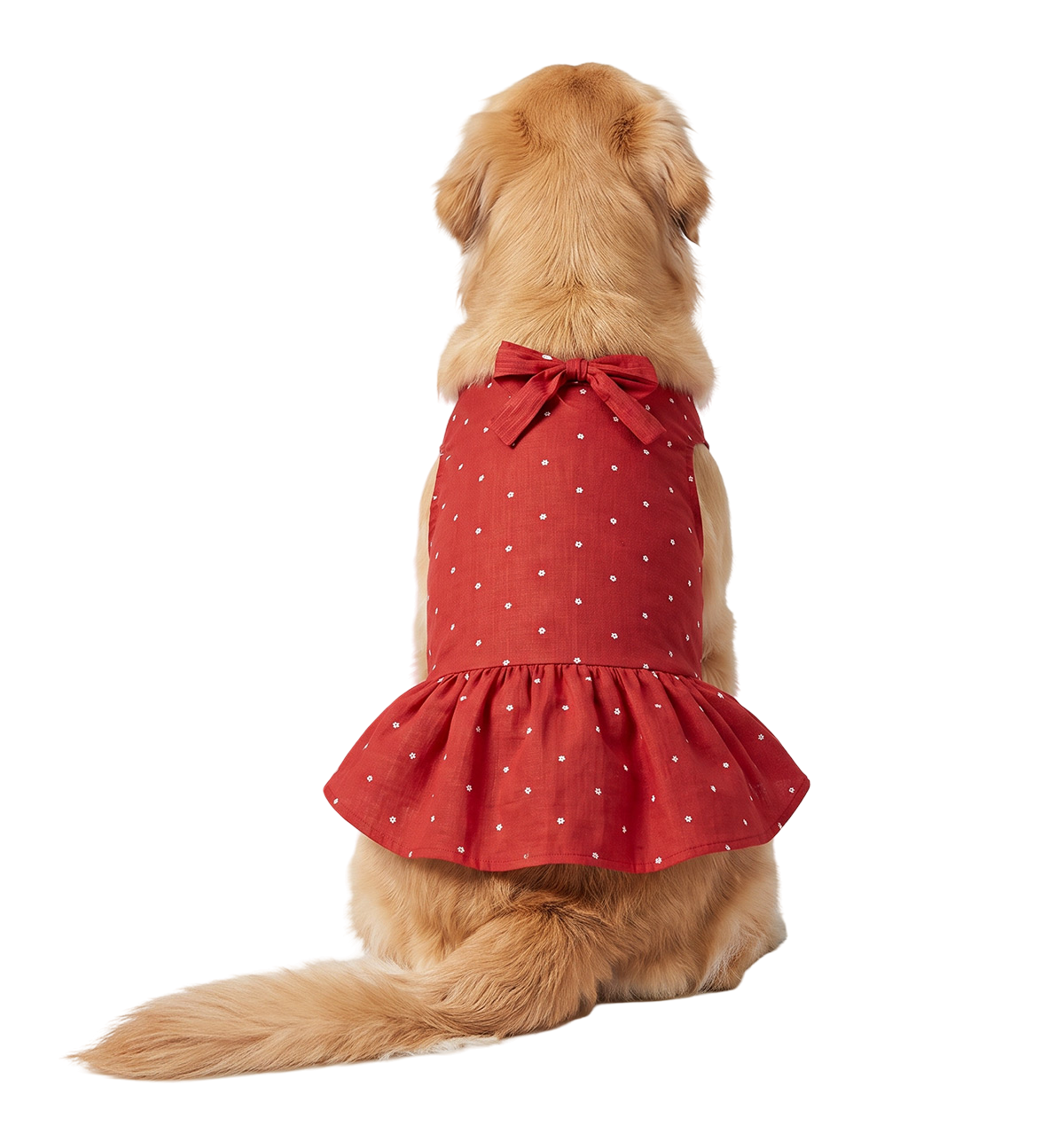 Bow Pet Dress