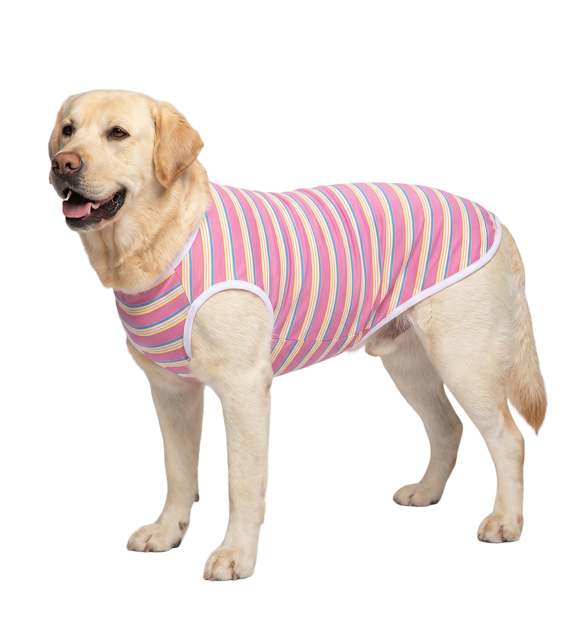 Striped Pet Tee