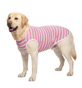 Striped Pet Tee