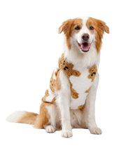 Teddy Pet Vest