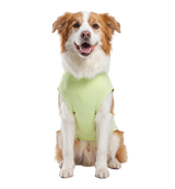 Sport Pet Tee