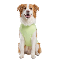 Sport Pet Tee