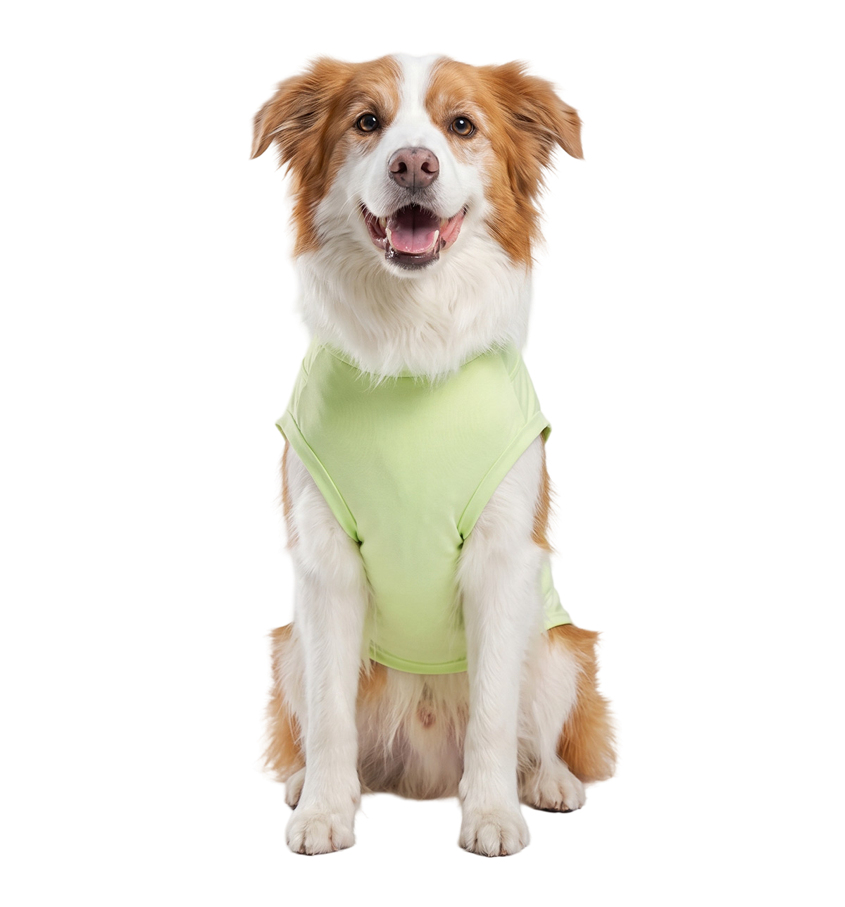 Sport Pet Tee