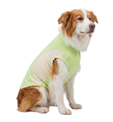 Sport Pet Tee