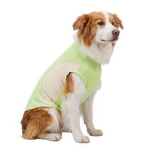 Sport Pet Tee