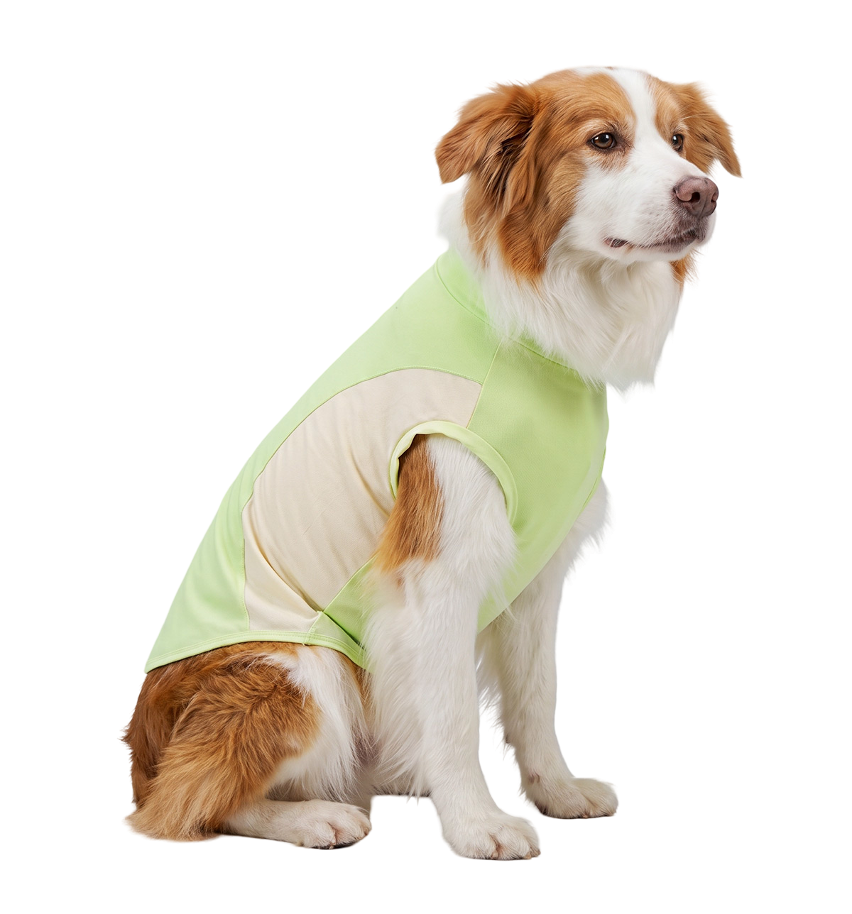 Sport Pet Tee