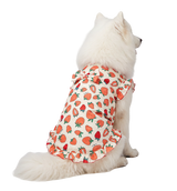 Floral Pet Dress